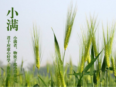 人生小滿，即是圓滿|睿寂行